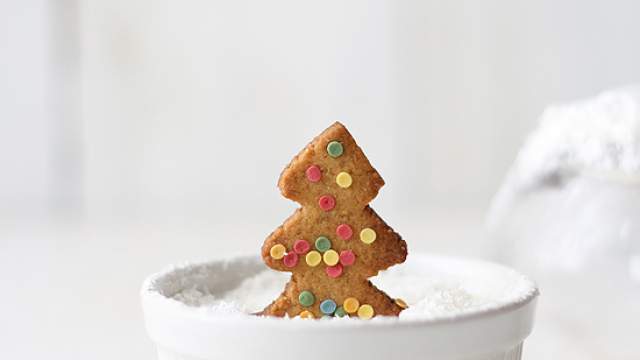 Gingerbread cookie recipe. Edible snow globe