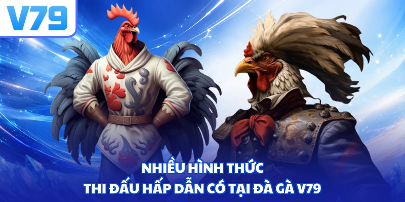 Nhiều hình thức thi đấu hấp dẫn có tại Đá gà V79